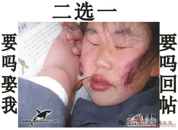 315风波后隐藏的新风口与暴富机遇_第16期周报