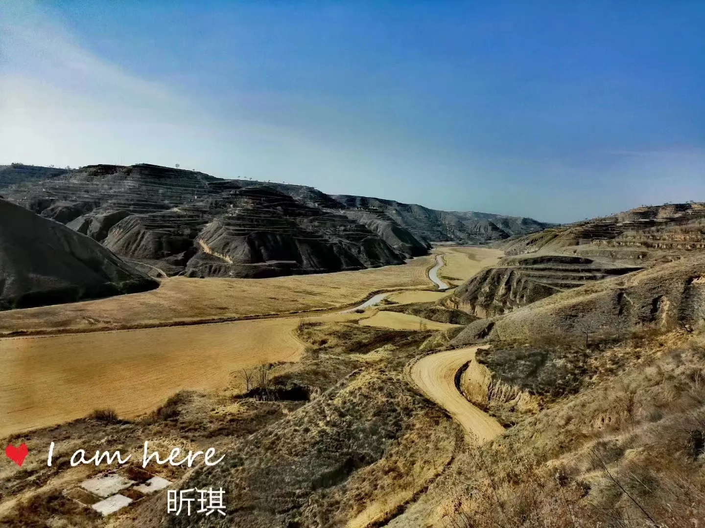 羽悦助手：快手小店上货神器，AI类目上传助力高效运营