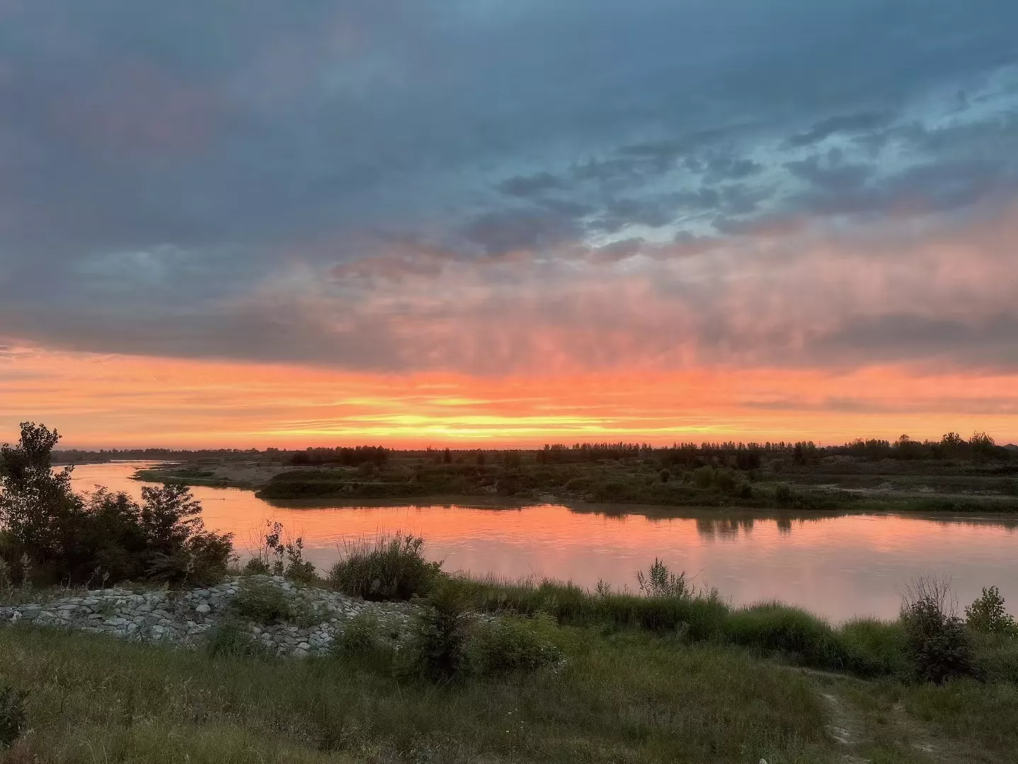 视频号运营：掌握13招，轻松开通原创不是梦