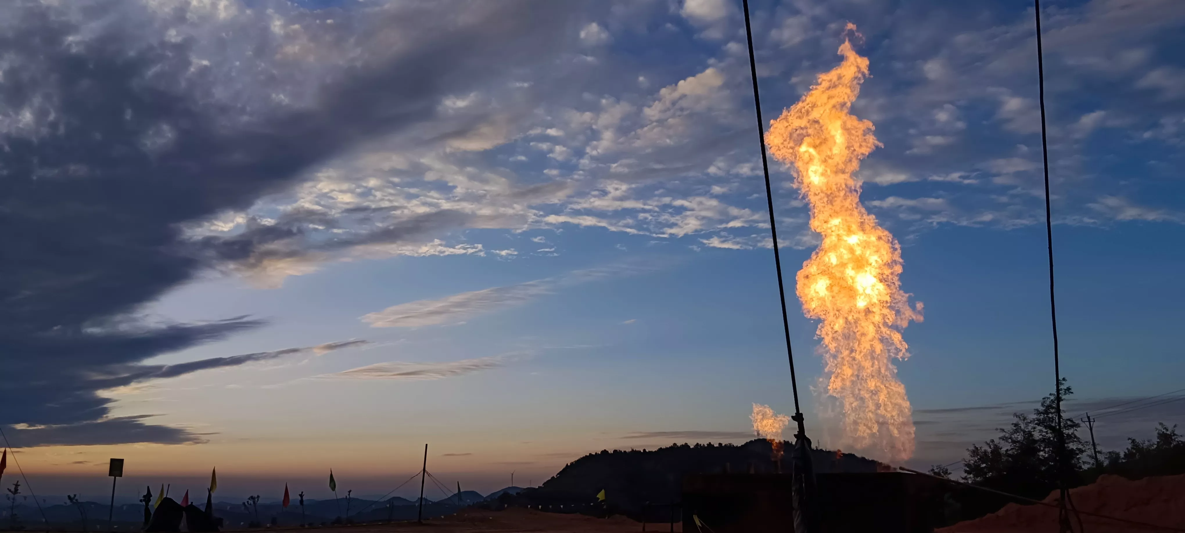 哇塞助手：无货源商家的选品神器，秒采淘宝天猫爆款！