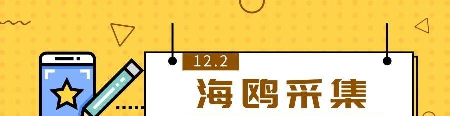 海鸥采集：无货源选品利器，助力拼多多商家销量飙升！
