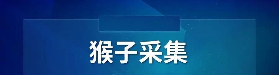 猴子采集：拼多多采集神器，轻松搞定关键词与同行整店采集