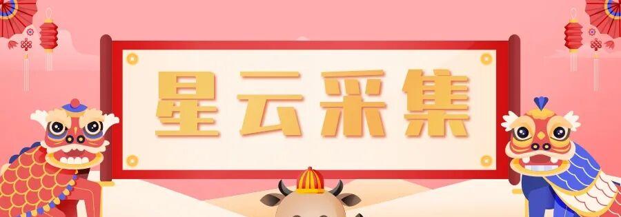 拼多多数据采集：星云采集助力，实时解析，精准捕捉流量密码！