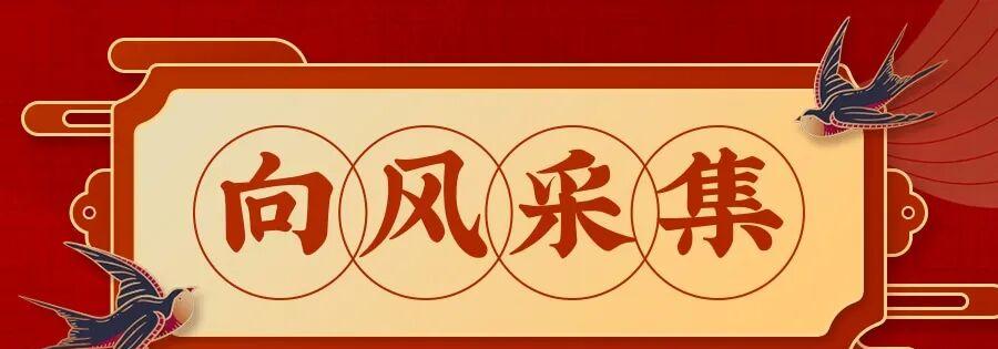 拼多多采集神器：实时采集，一键解析，全网独创不废号！